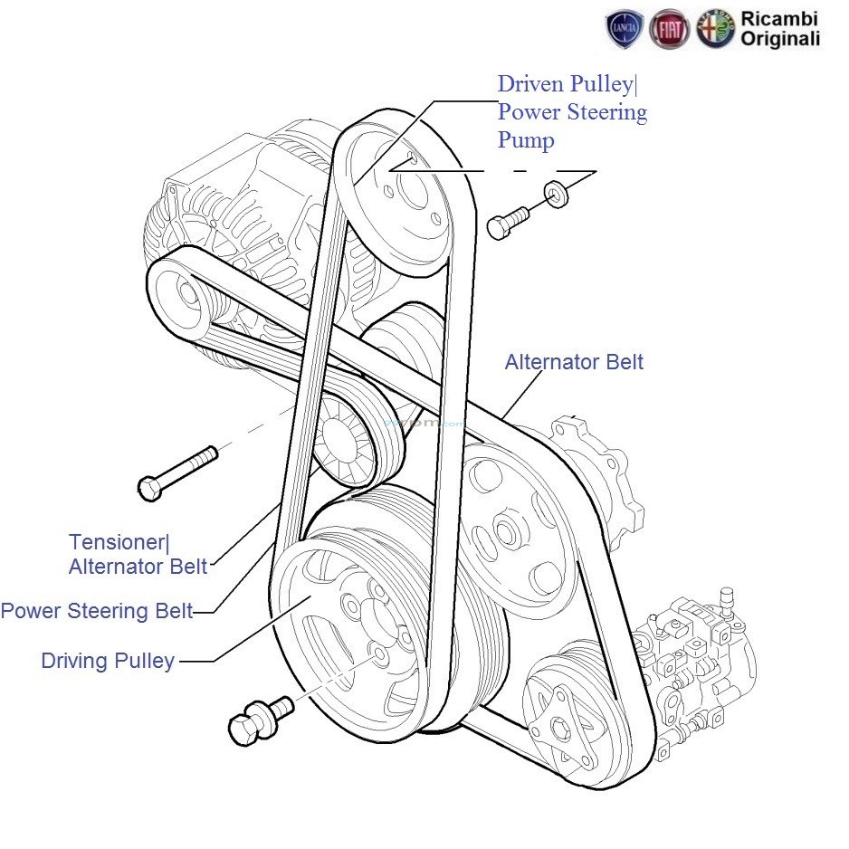 FIAT Punto 1.3 MJD Auxiliary Belts & Pulleys