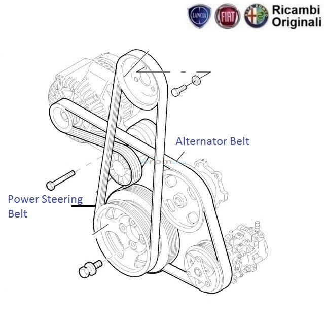 FIAT Linea 1.3 MJD Alternator Belt & Power Steering Belt