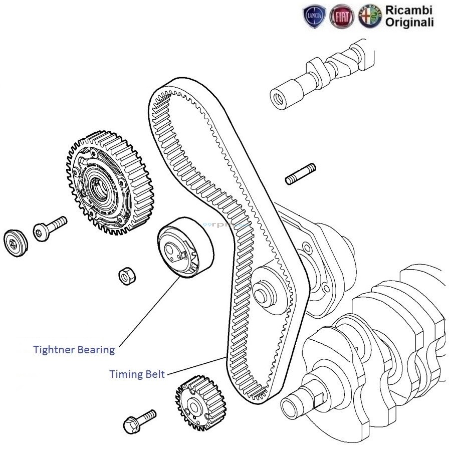 FIAT Punto 1.4 FIRE Timing Belt and Tightner Bearing