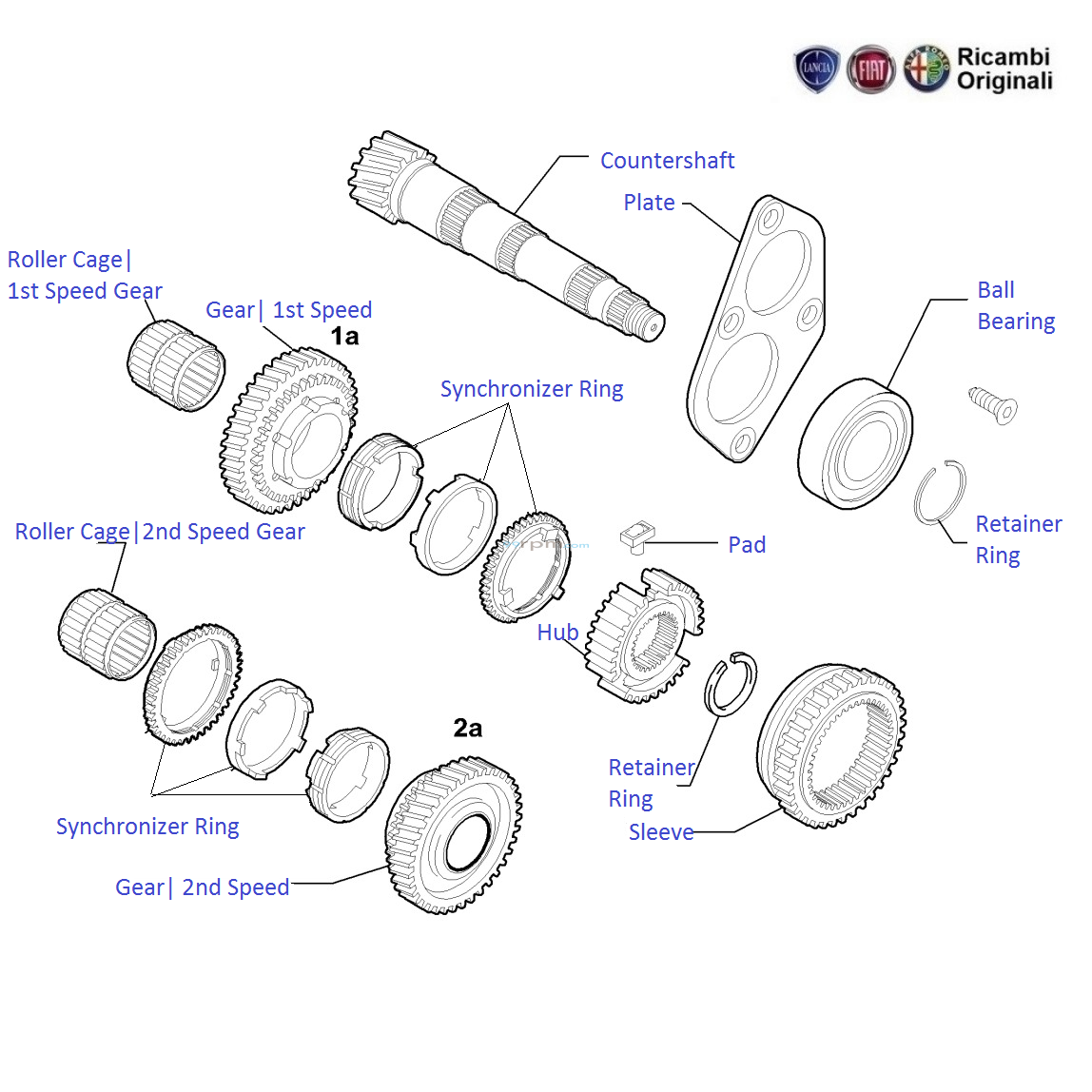 FIAT Palio Transmission Gears & Countershaft