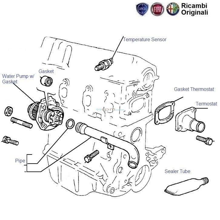 FIAT Palio 1.2 Water Pump and Hoses