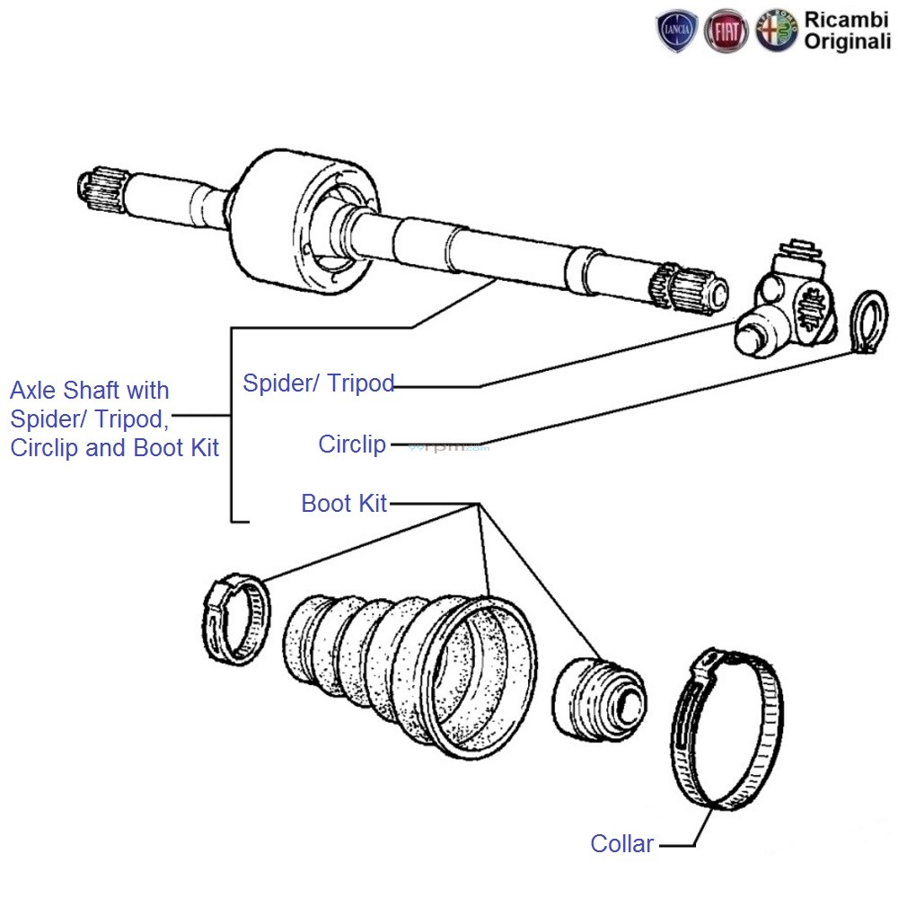 Fiat car hotsell parts online