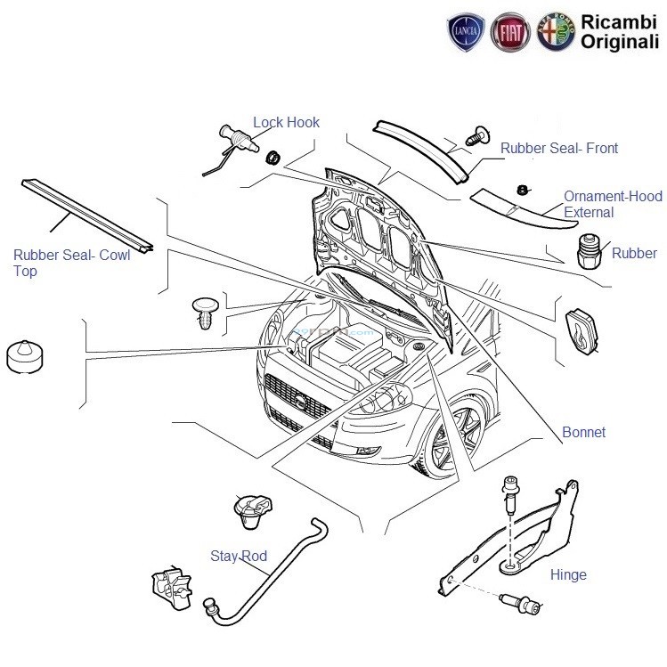 Fiat punto hot sale parts near me