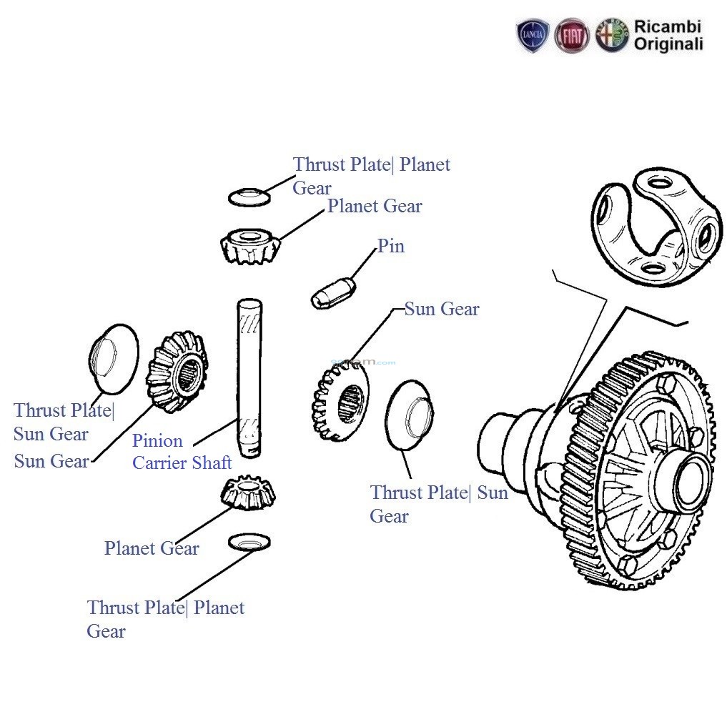 FIAT Palio 1.2 Petrol Differential Gears