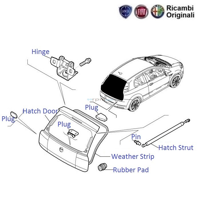 Fiat Grande Punto: Hatch Door, Struts and Weather Strip