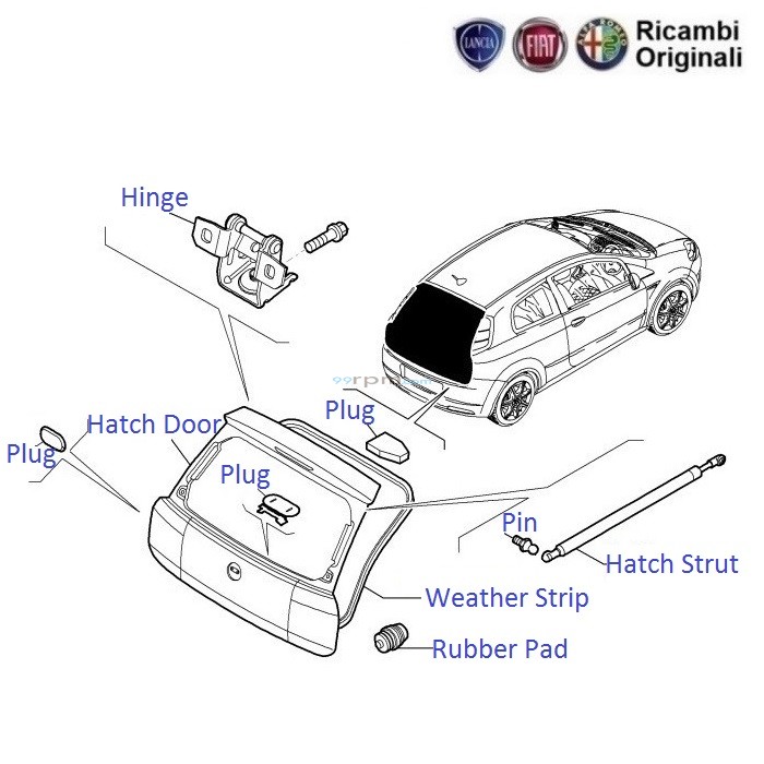 Door, and Hatch Fiat Weather Strip Grande Punto: Struts