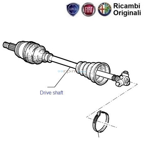 fiat palio parts online