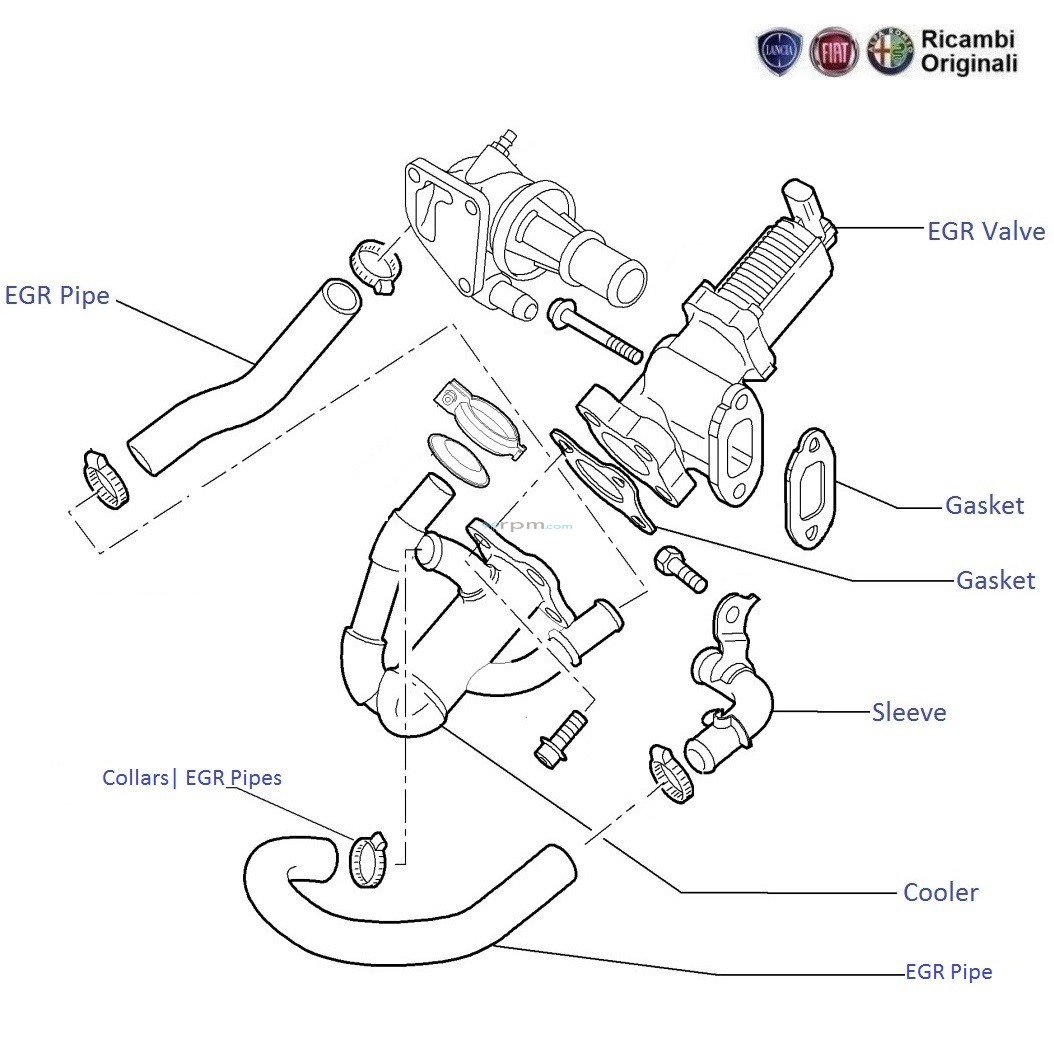 Fiat egr deals valve