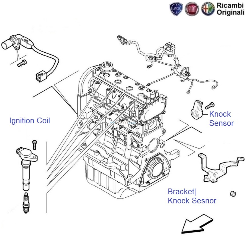Fiat coil sale pack