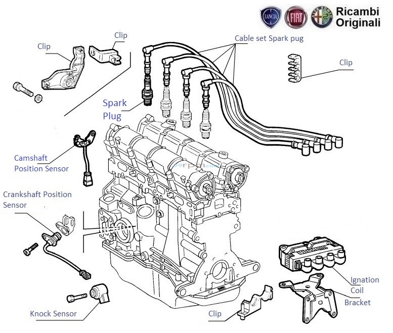 Fiat palio coil hot sale pack