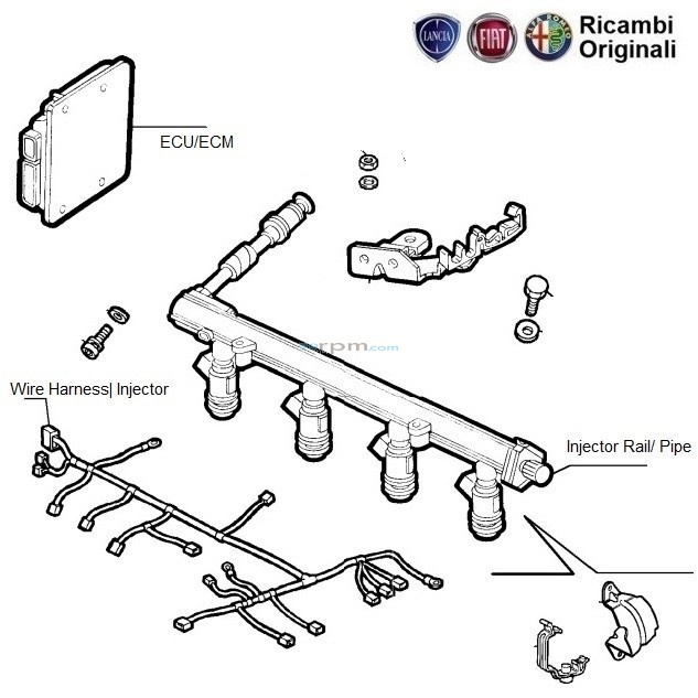 Fiat Siena Wiring Diagram