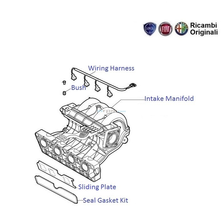 Fiat Punto Wiring Harness