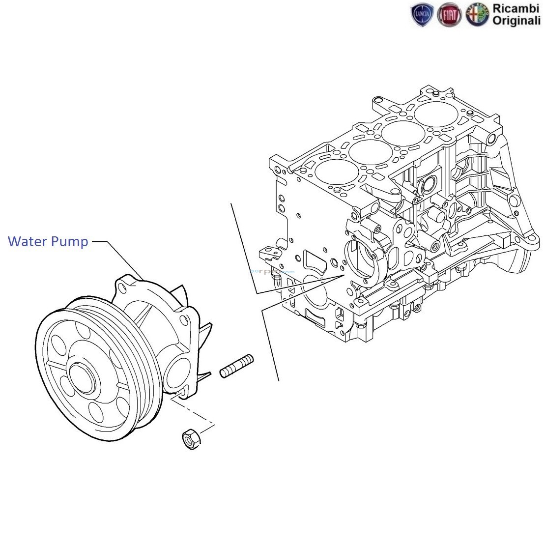 Fiat linea water pump new arrivals price