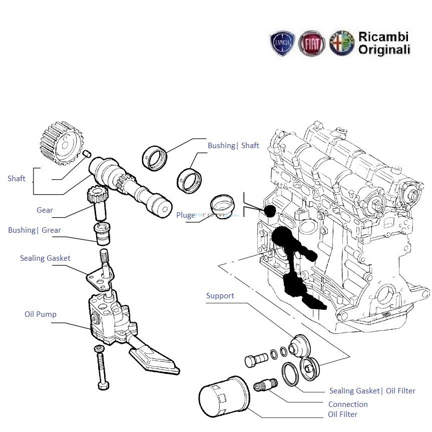 Fiat palio oil pump hotsell