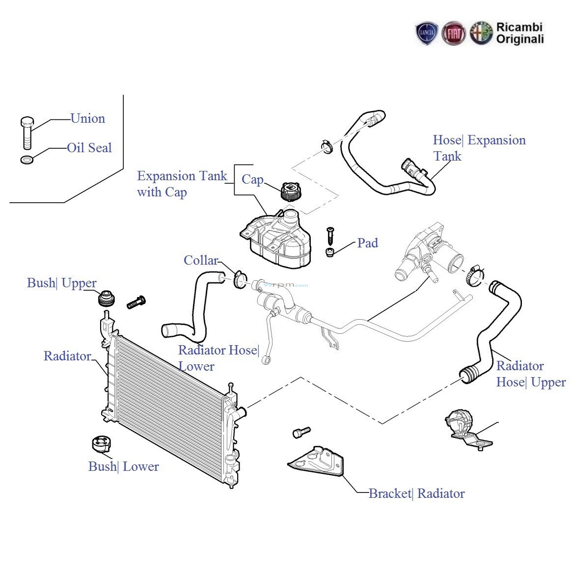 Fiat Engine Cooling Diagram Wiring Diagram
