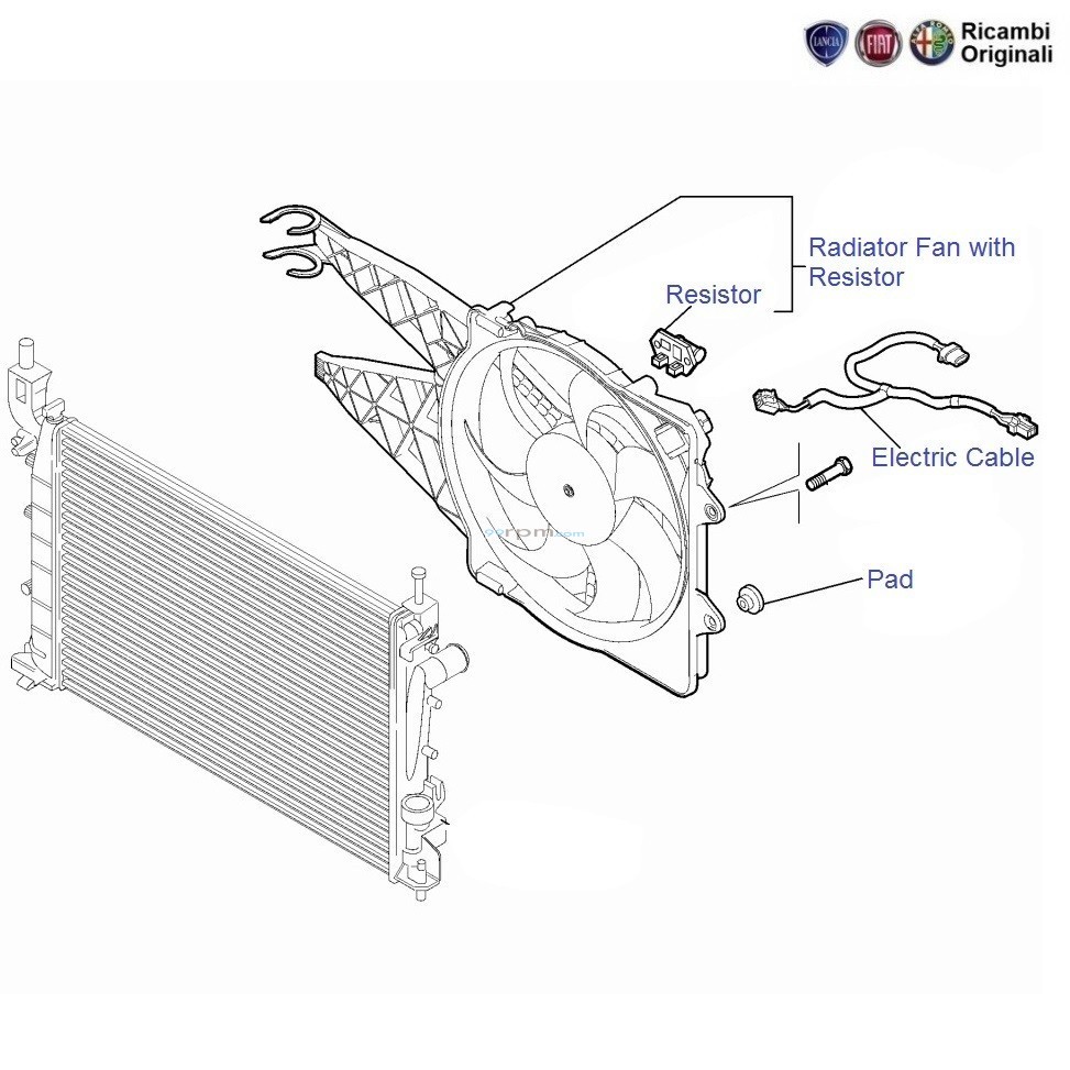 Fiat linea hot sale radiator