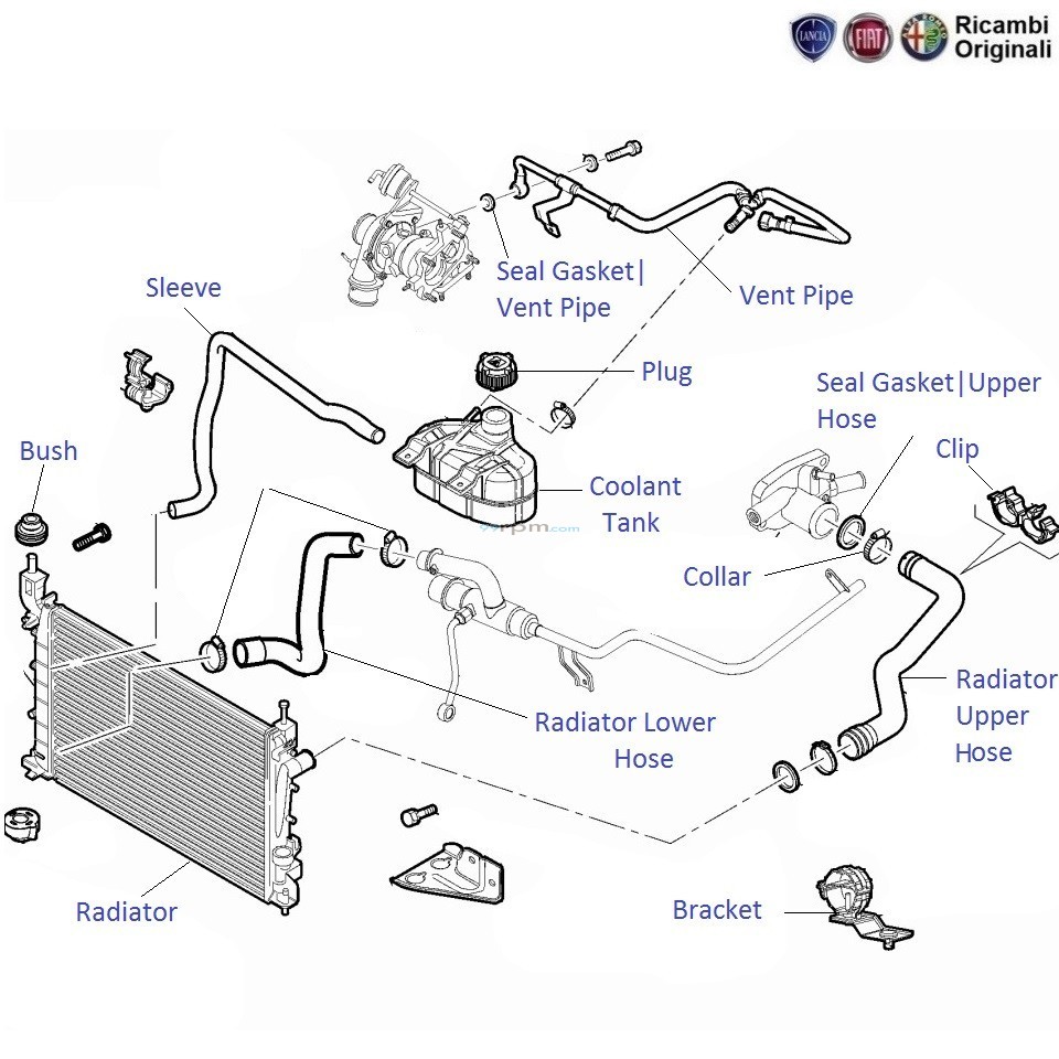 Fiat linea online coolant tank