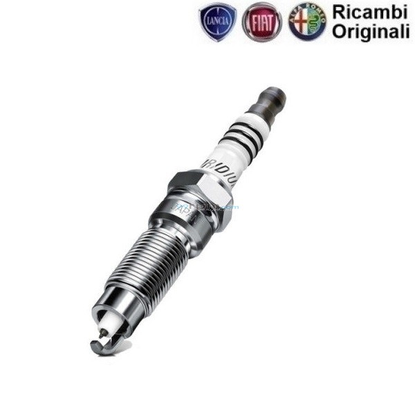 Fiat palio spark plugs hotsell