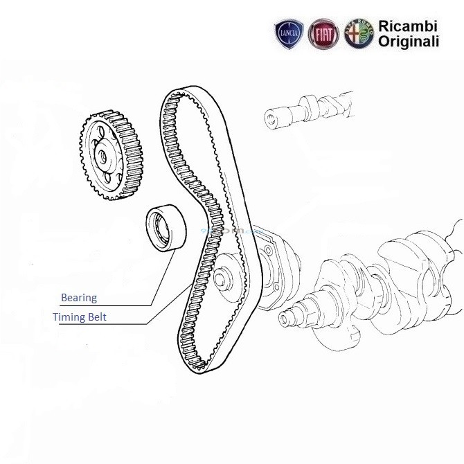 Fiat palio 1.2 timing marks store