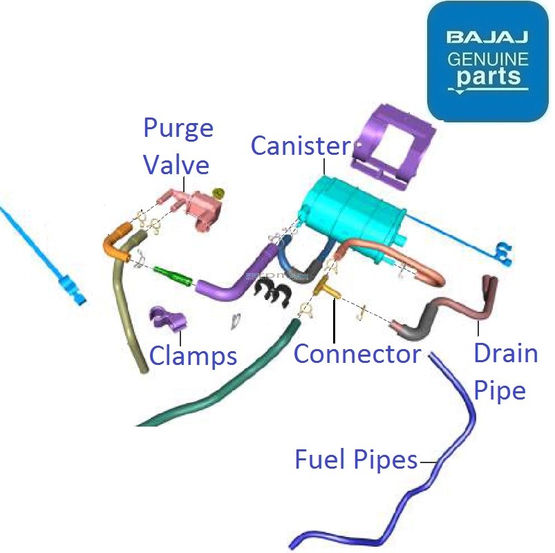 Bajaj Pulsar F250 (Twin Channel ABS, 202123) EVAP System