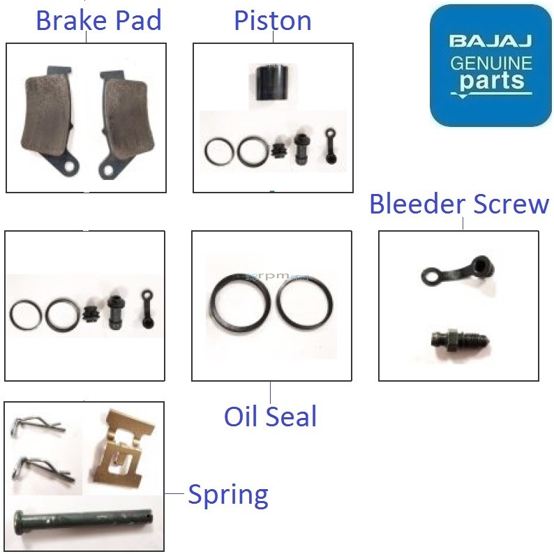Bajaj Pulsar NS200 (USD Fork, 2023) Rear Brake Caliper Components