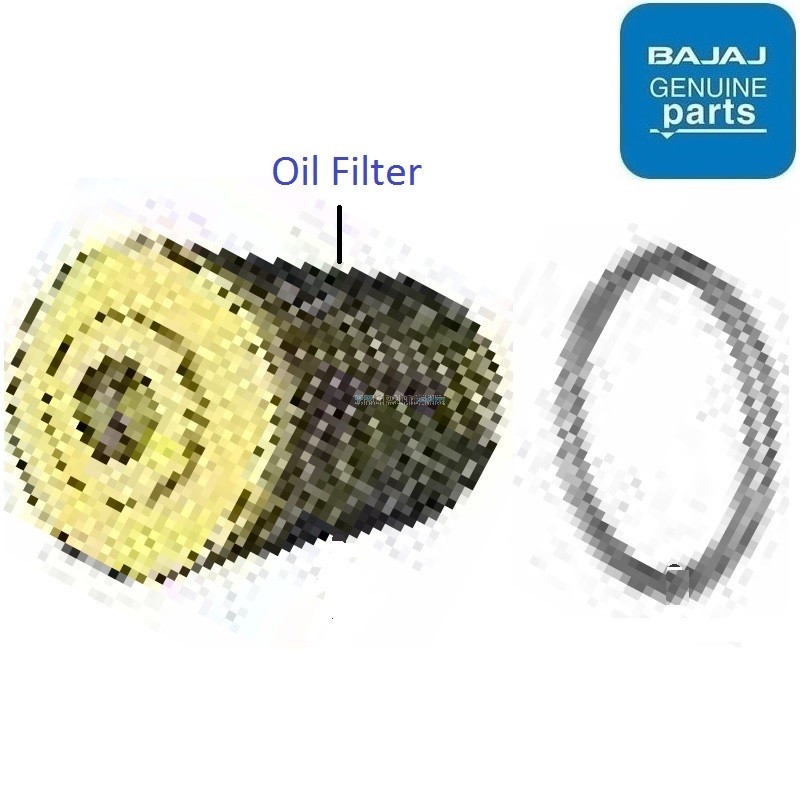 Bajaj Pulsar NS200 (BS6, 20212023) Oil Filter
