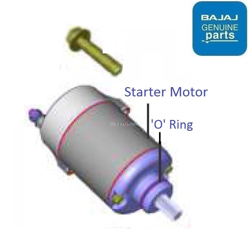 Bajaj Pulsar NS200 (BS6, 20202023) Starter Motor