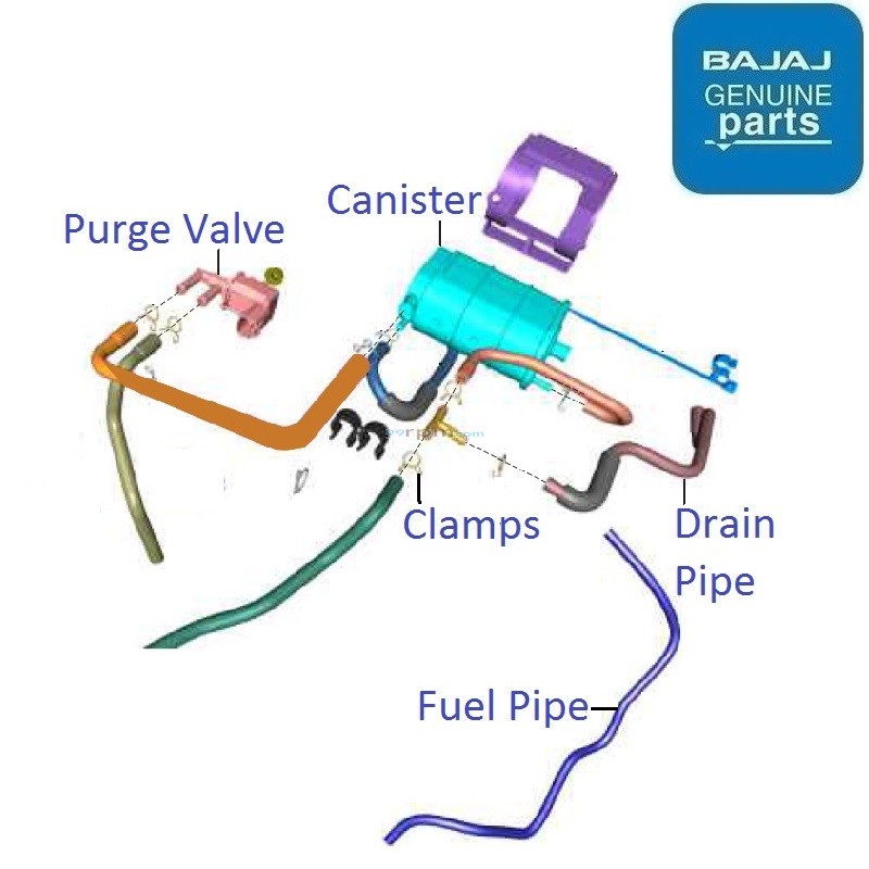 Bajaj Pulsar P150 (Single Disc, 202223) EVAP System