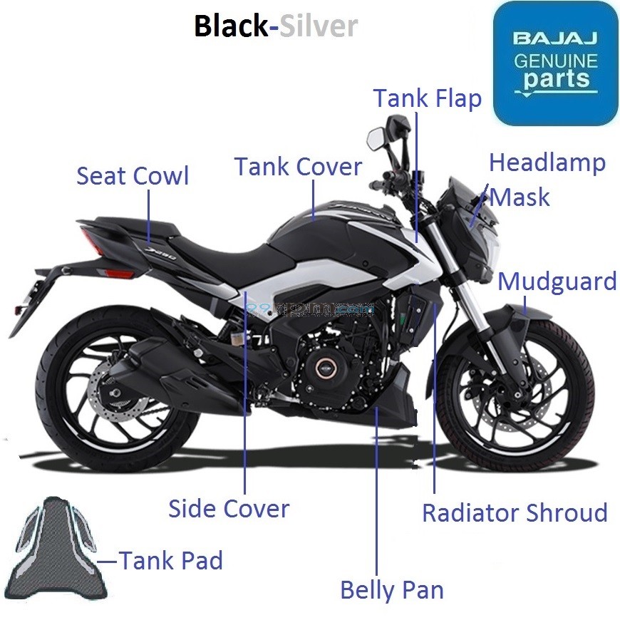 Dominar 250 2020 23 Black Silver Color Painted Parts