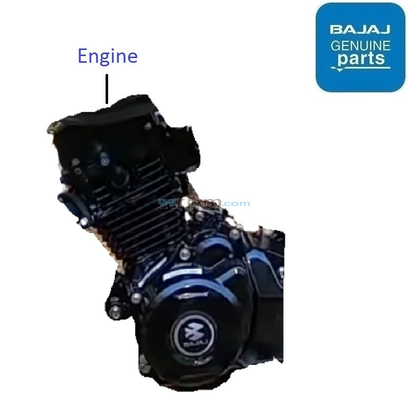 Platina 110 Disc 2021 Engine Assembly