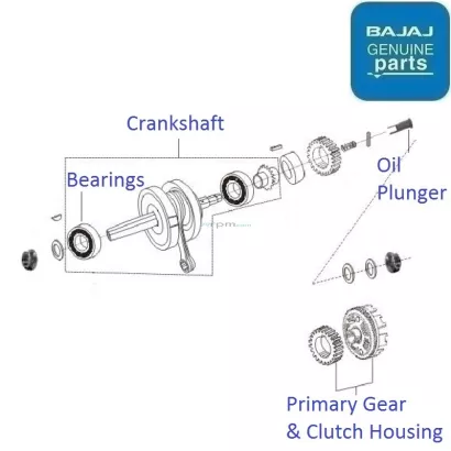Discover 100 store gear shaft