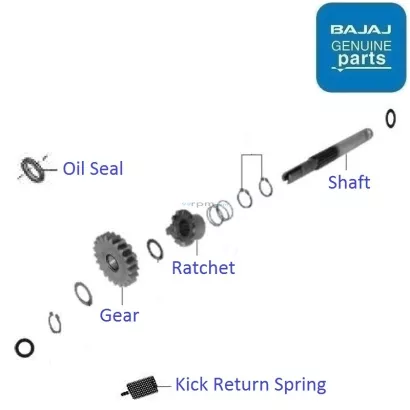 Discover 100 DTS Si 5Gears 2009 2012 Kick Starter
