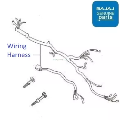 Discover 100 shop wiring price